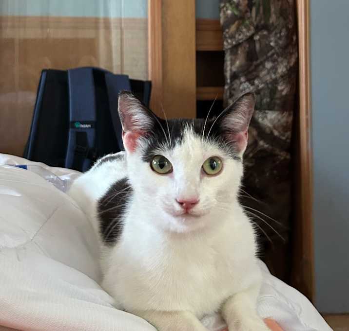 Photo of JOKER