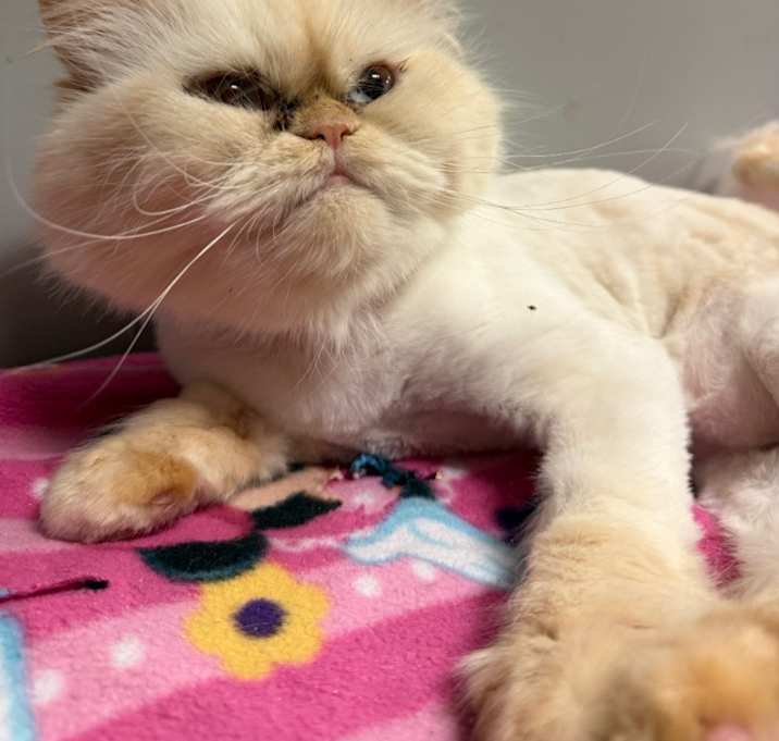 Photo of Mona