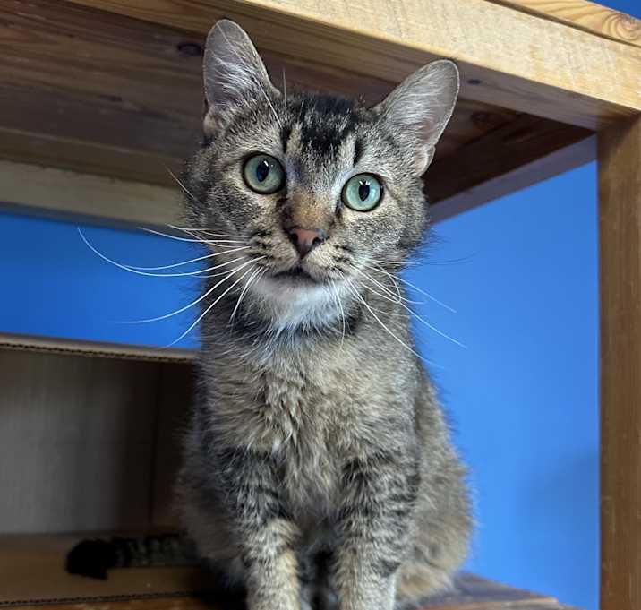 Photo of Bernard
