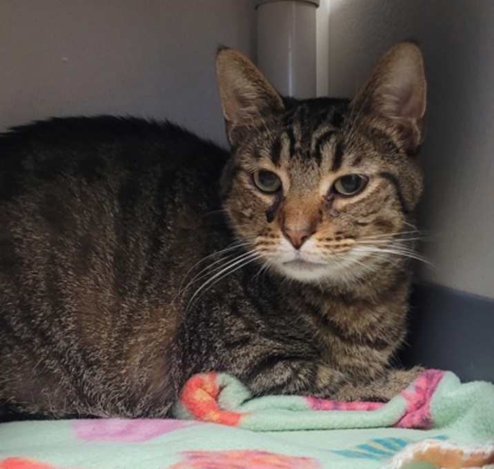Photo of Jasper