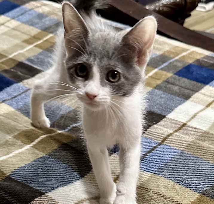 Photo of Dottie