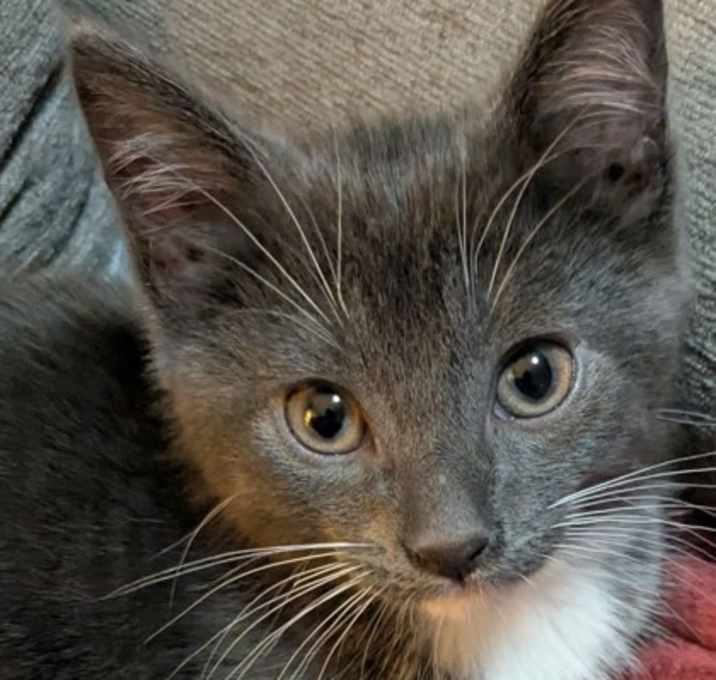 Photo of Jasper
