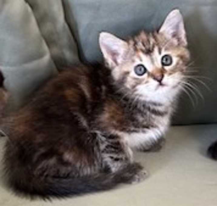 Photo of Deloris