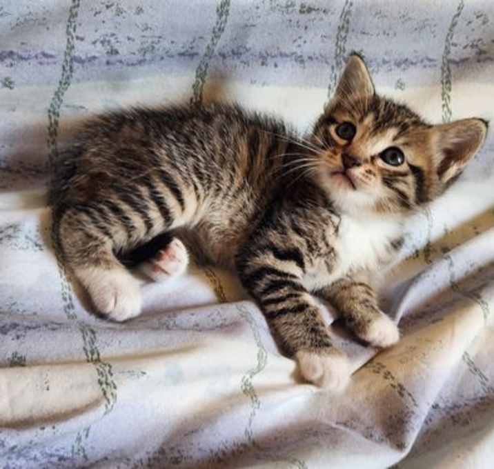 Photo of Leo
