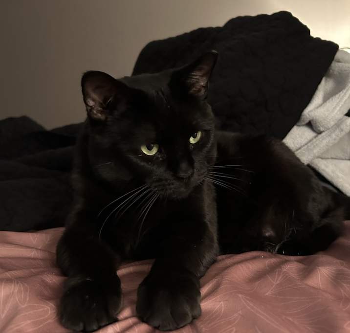 Photo of Salem