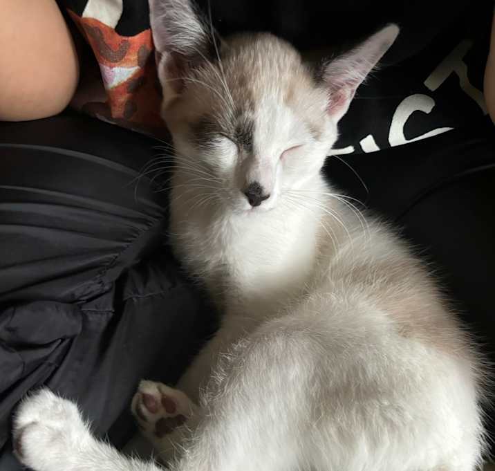 Photo of Mila