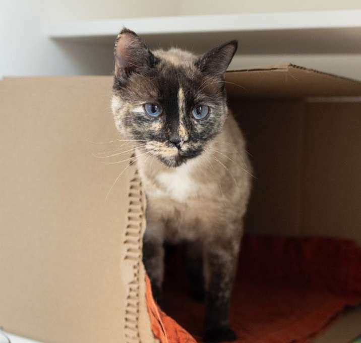 Photo of Yoli