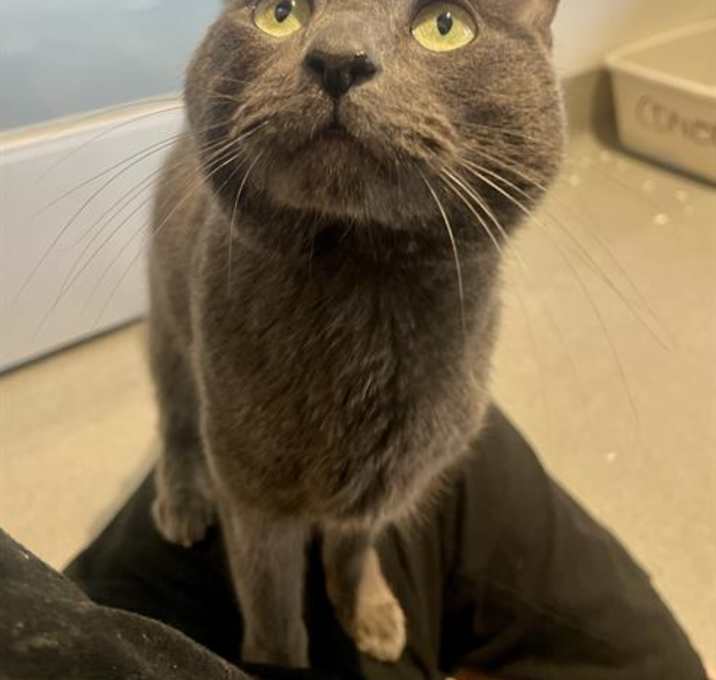 Photo of RUPERT