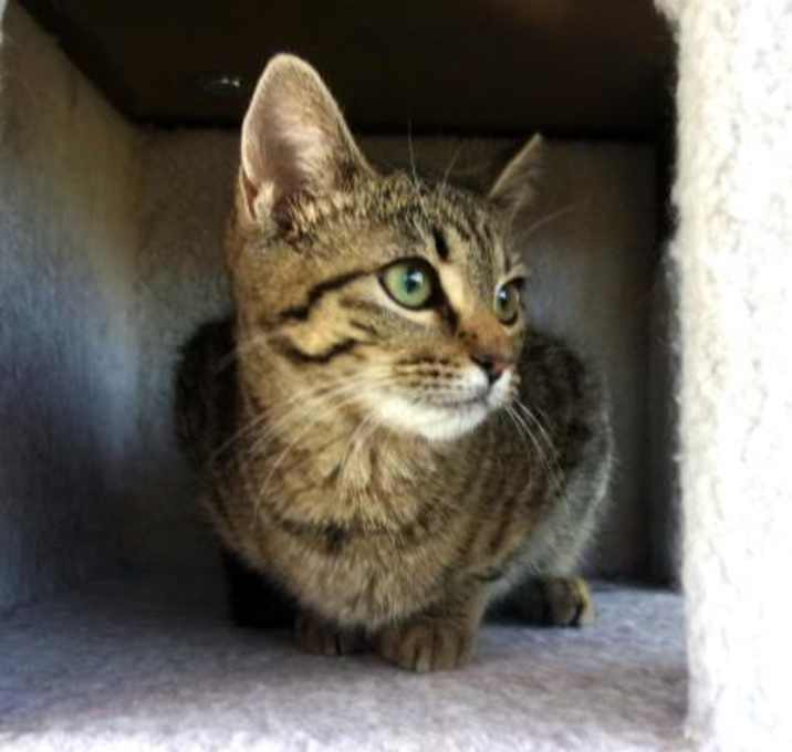 Photo of Sunny-8006