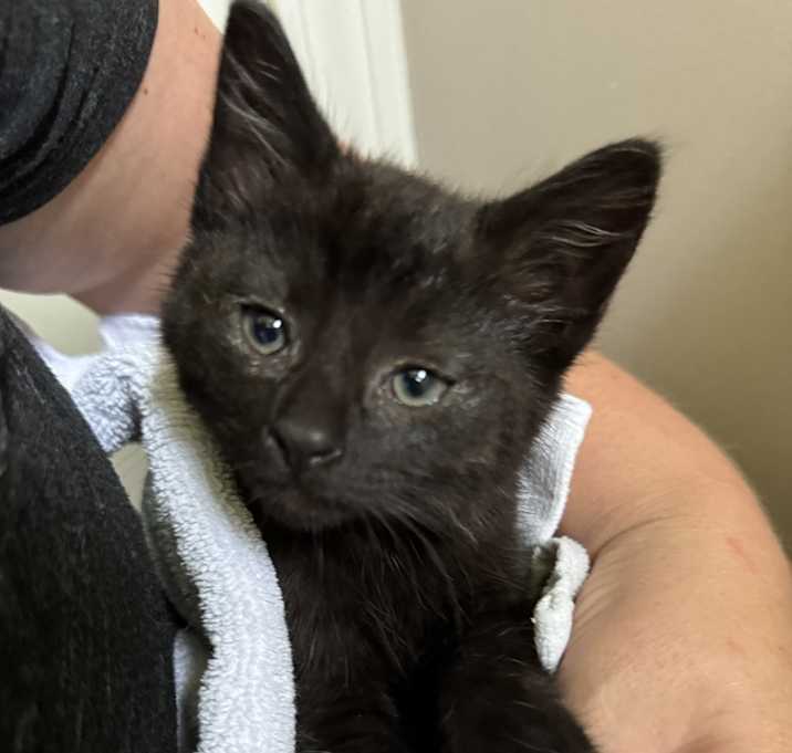 Photo of Sweet girl