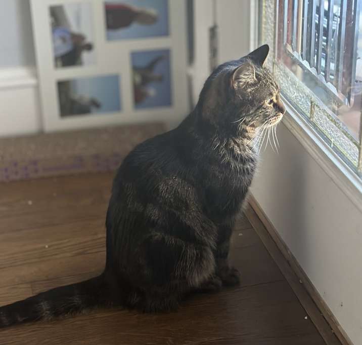 Photo of Leo