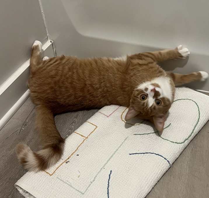 Photo of Reginald