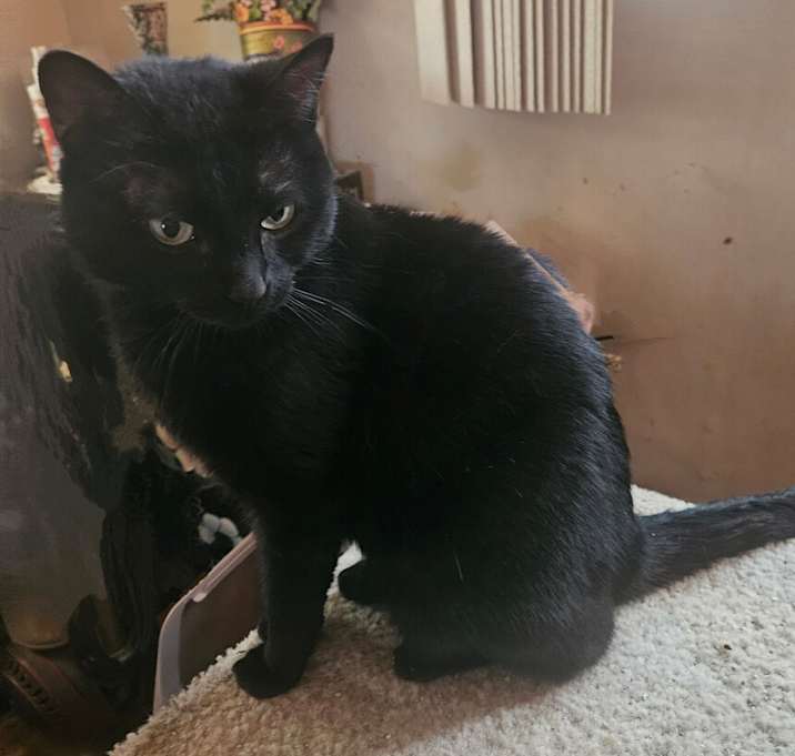 Photo of Elvira
