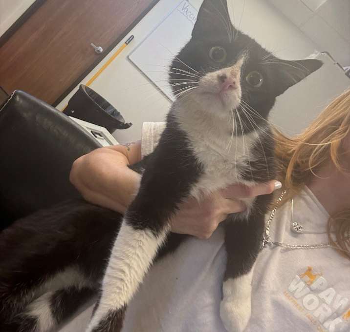 Photo of Tickles