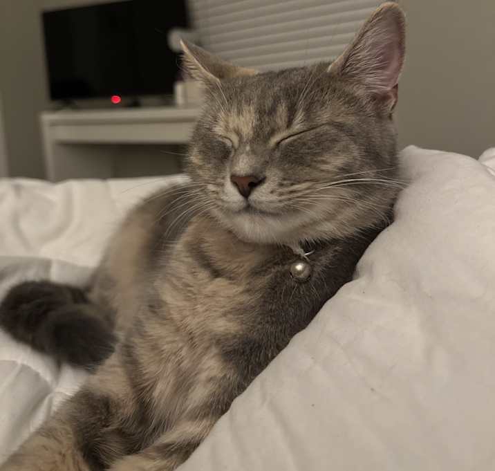 Photo of Bonnie