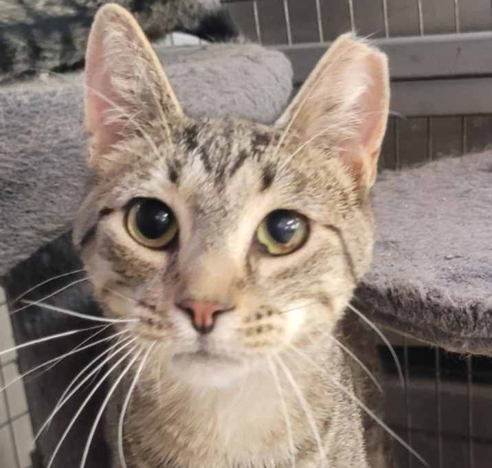 Photo of Jethro