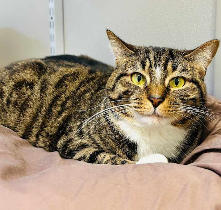 Photo of Boots