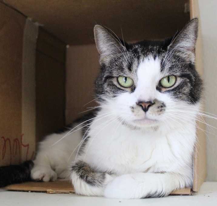Photo of Buddy