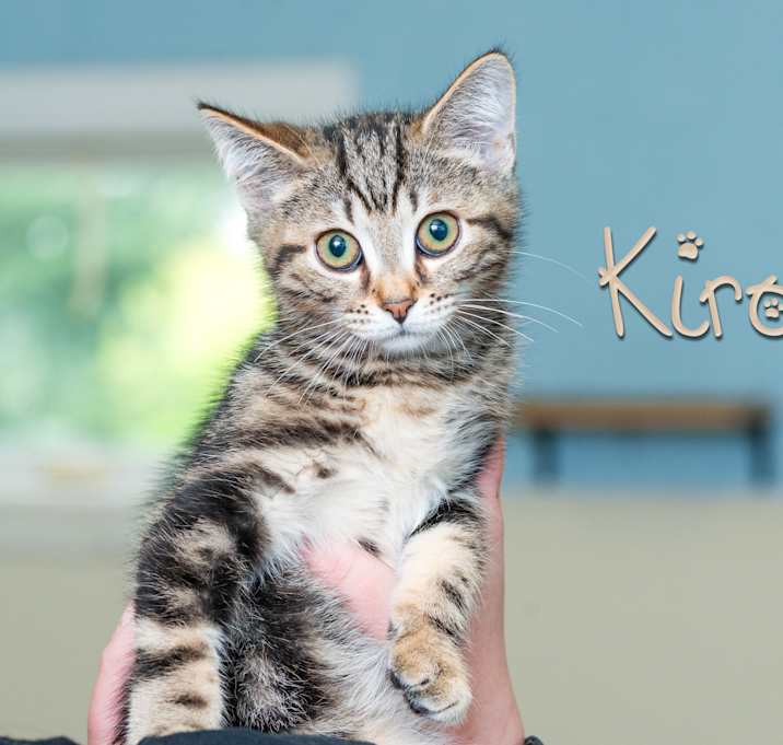 Photo of Kirov