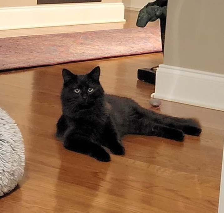 Photo of Larry