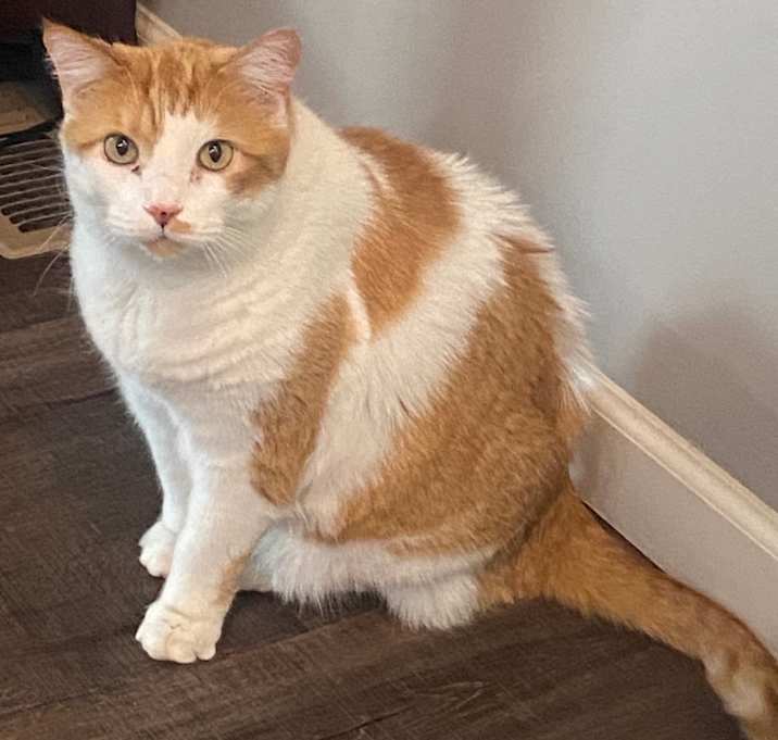 Photo of Mikko