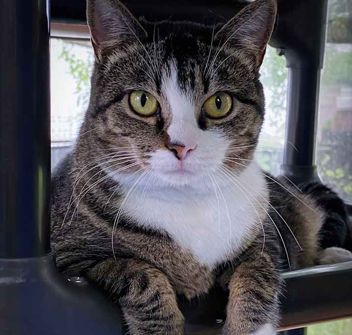 Photo of Baily
