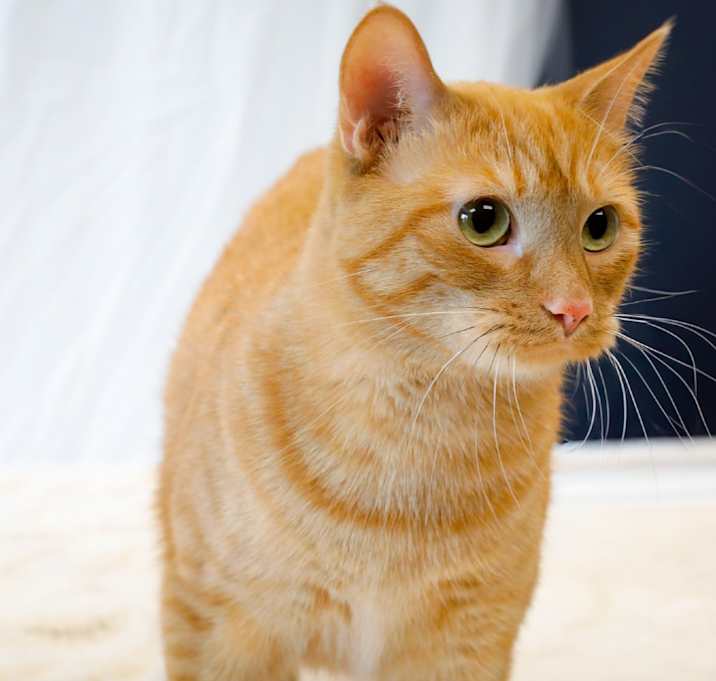 Photo of Nellie
