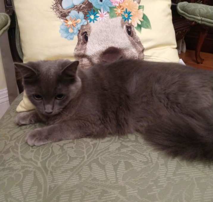 Photo of Sissy