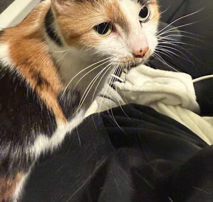 Photo of Charlie