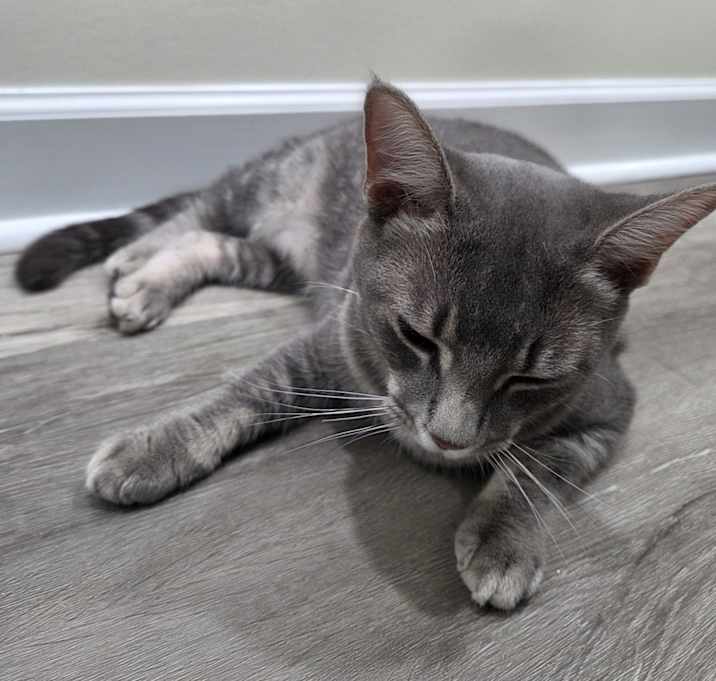 Photo of Lucy