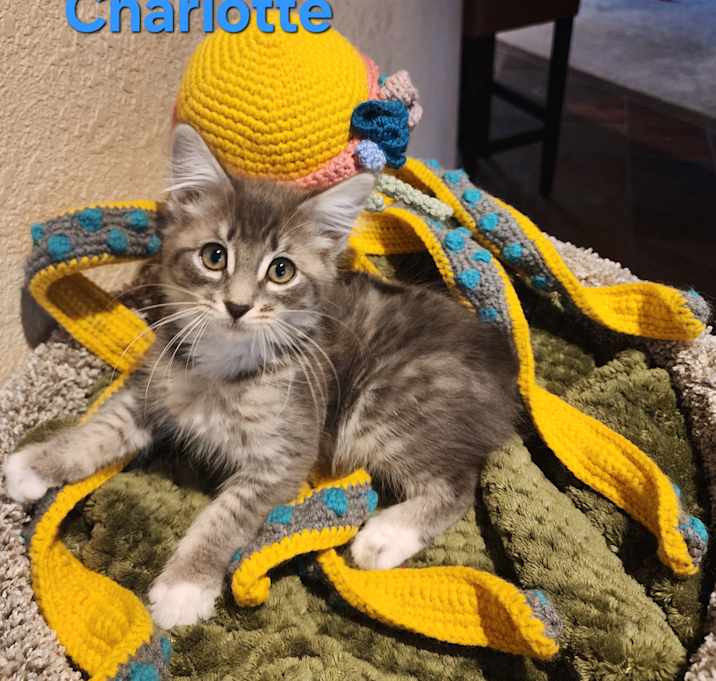Photo of Charlotte