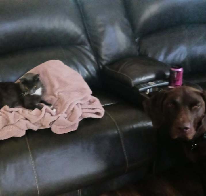 Photo of Bootsy