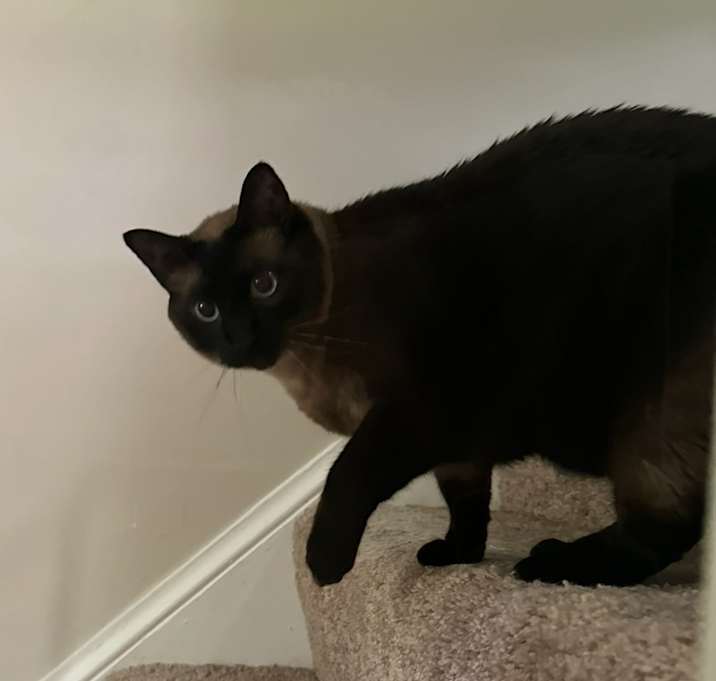 Photo of Tuddy