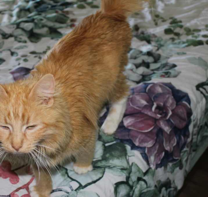 Photo of Mama Peach