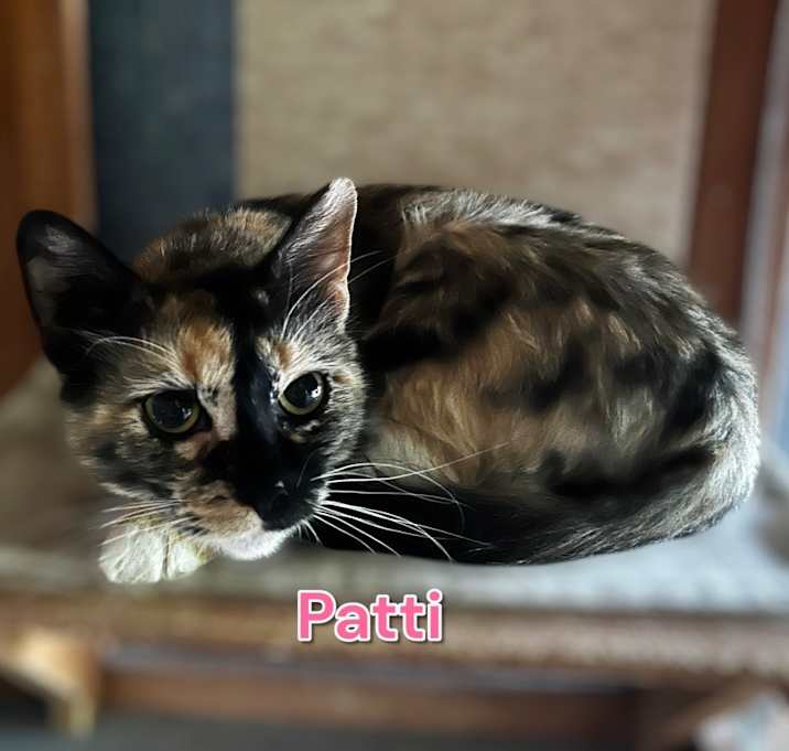 Photo of Patti