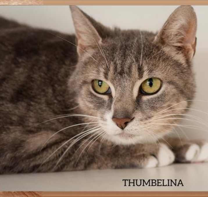 Photo of Thumbelina