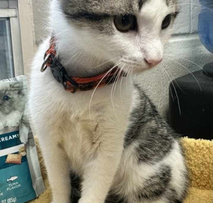 Photo of Jewel