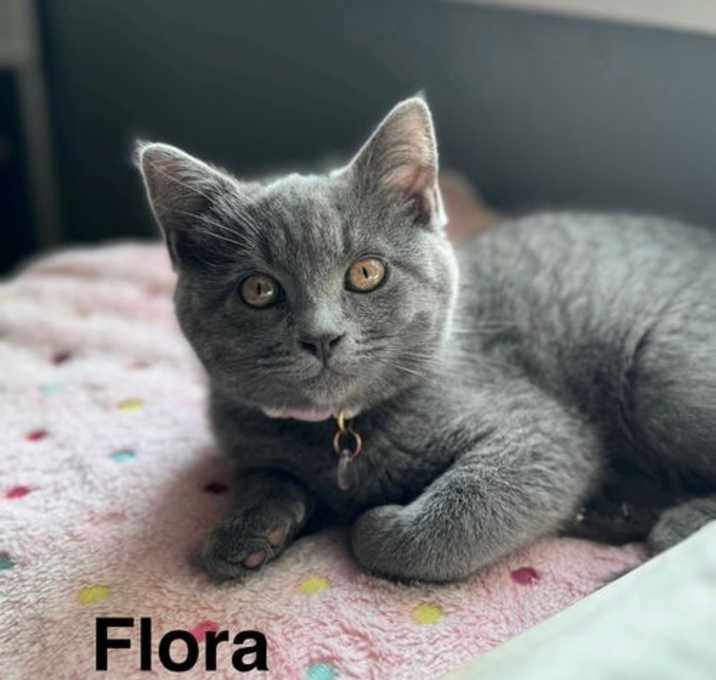Photo of Flora and Selva
