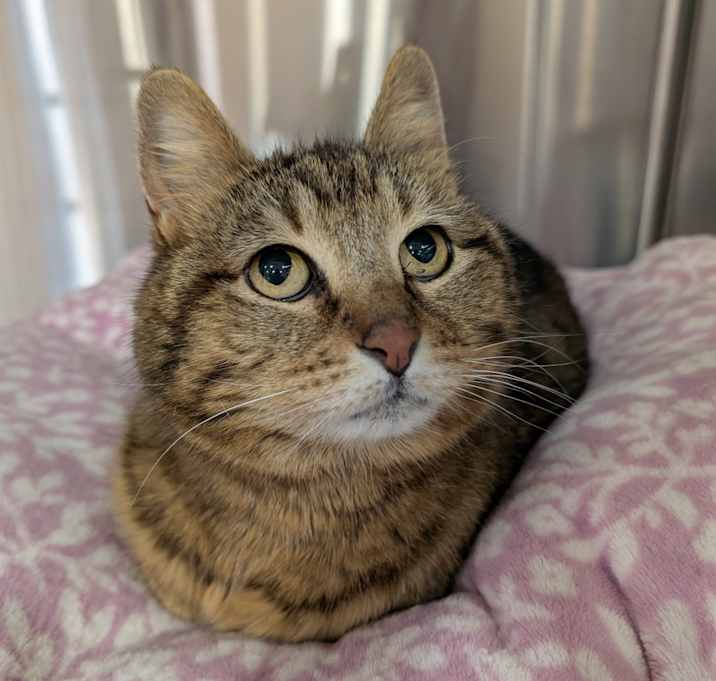 Photo of Tinker 