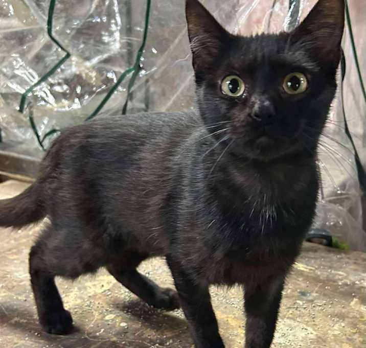 Photo of Polly