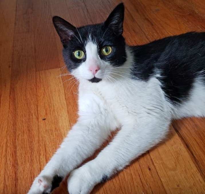 Photo of Cosimo