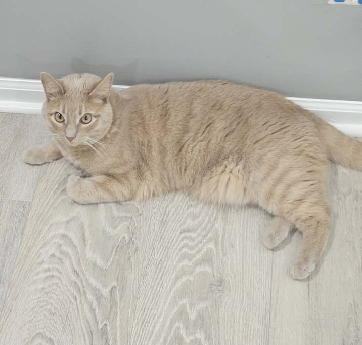 Photo of Astro