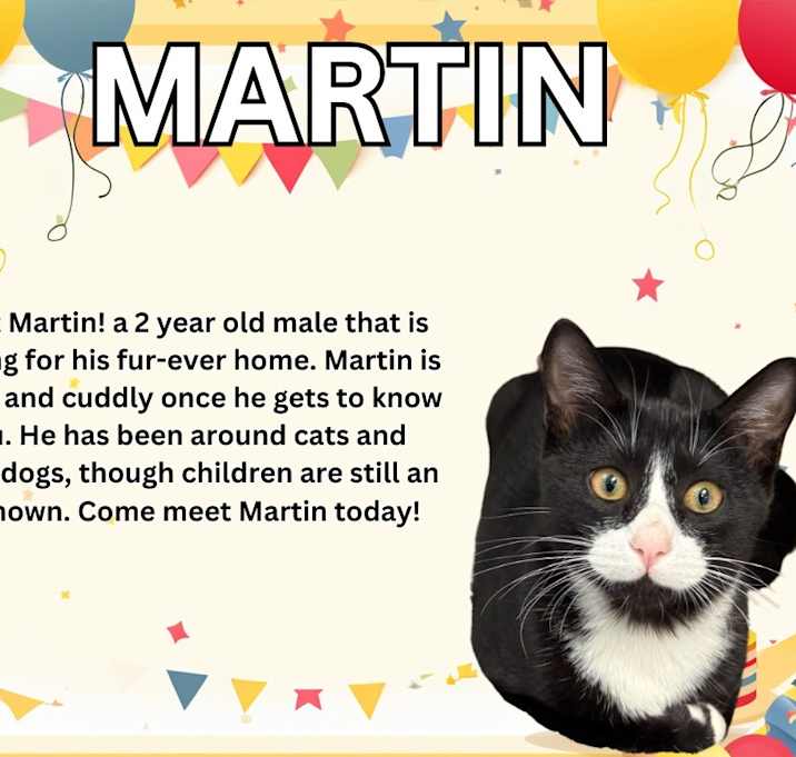 Photo of Martin