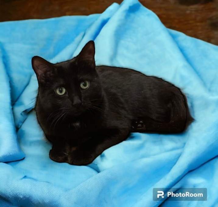 Photo of Paulina