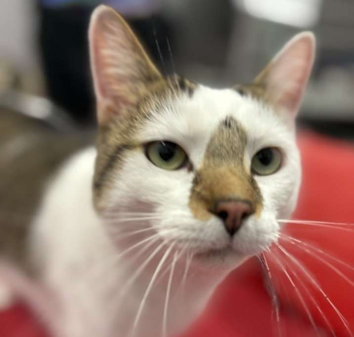 Photo of Jasper