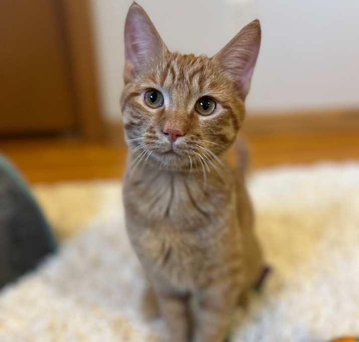 Photo of Cassian