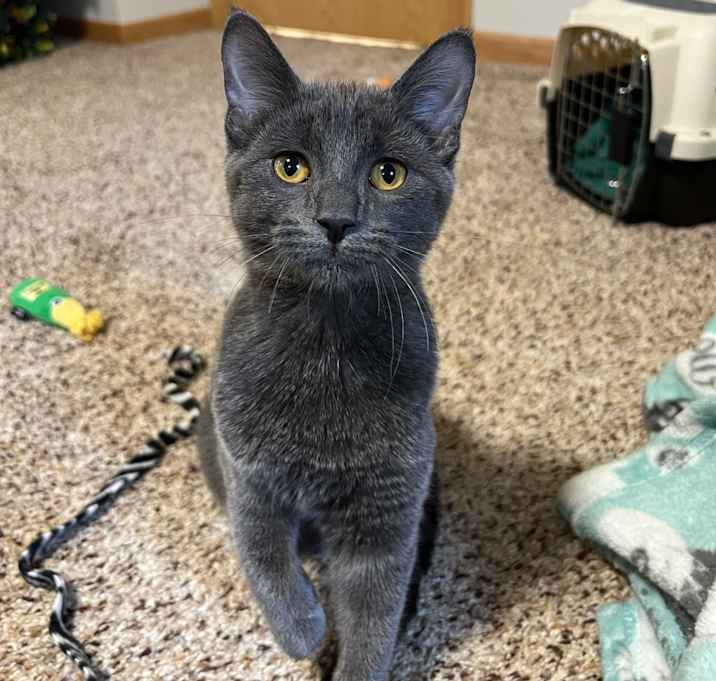 Photo of Feyre