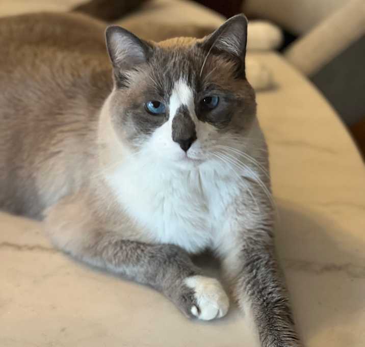 Photo of Oliver