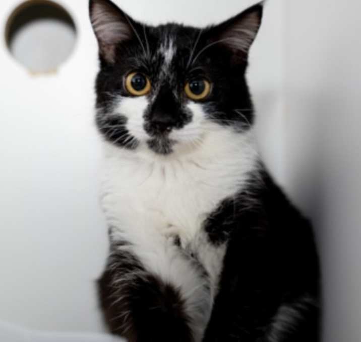 Photo of Silvia