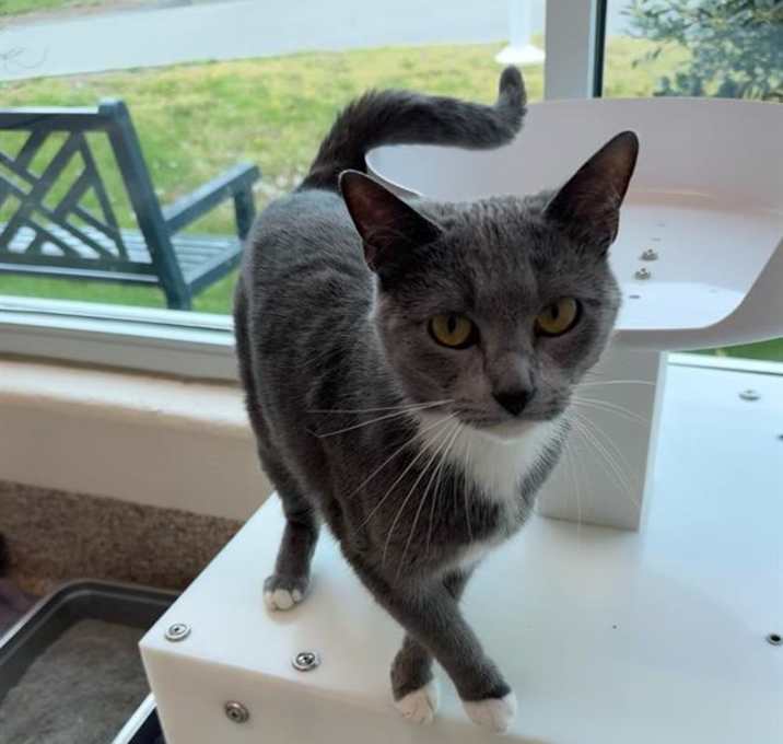 Photo of LILAH